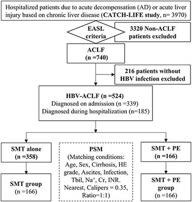 Plasma Exchange-Based Non-bioartificial Liver Support System Improves the Short-Term Outcomes of Patients With Hepatitis B Virus-Associated Acute-on-Chronic Liver Failure: A Multicenter Prospective Cohort Study